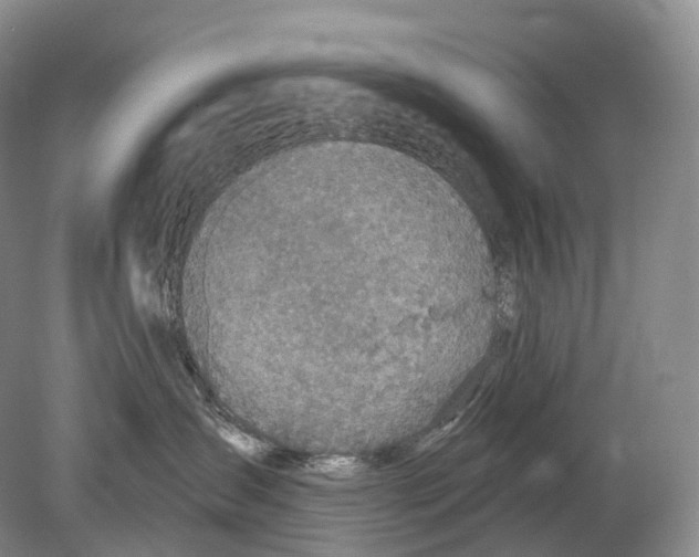 X0000078830431200612041818