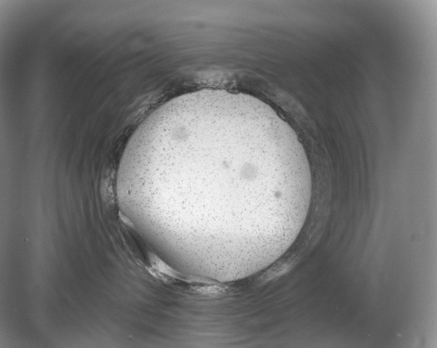 X0000078830432200612041818