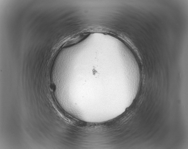 X0000078830433200612041817