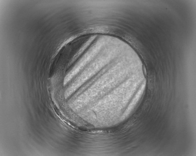 X0000078830434200612041817