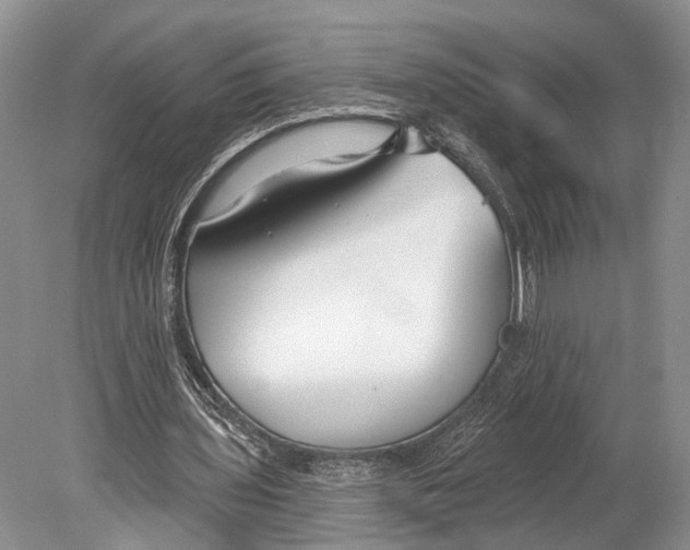 X0000078830435200612041817