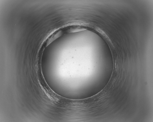 X0000078830436200612041817