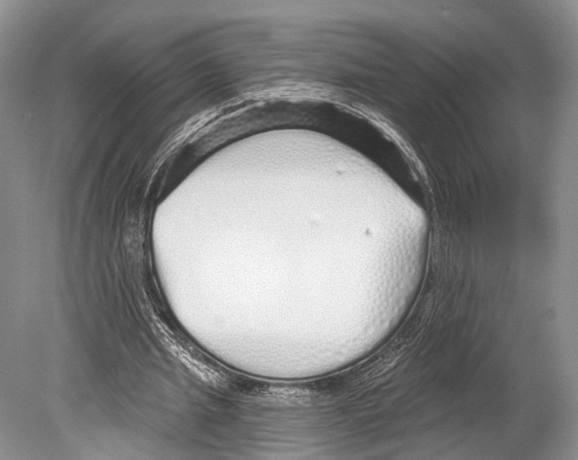 X0000078830437200612041817