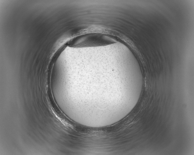 X0000078830438200612041817