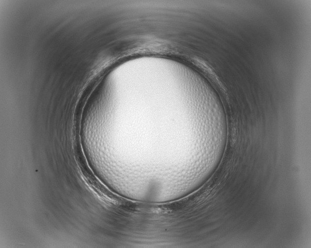 X0000078830439200612041817