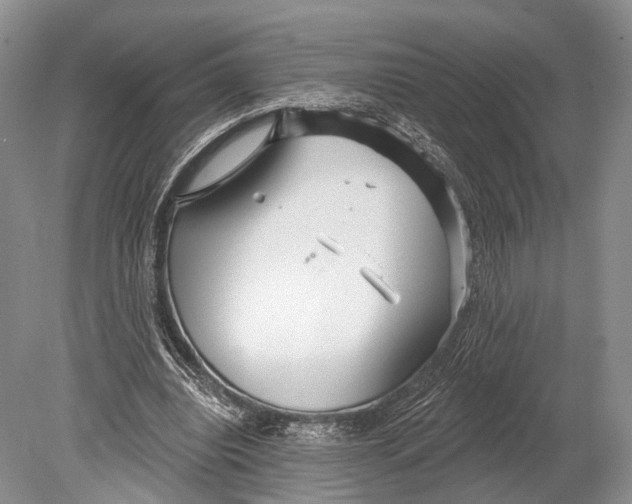 X0000078830440200612041817