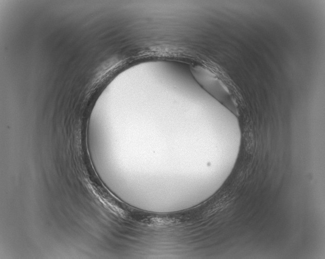 X0000078830442200612041817