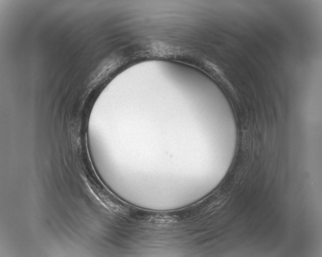 X0000078830443200612041817