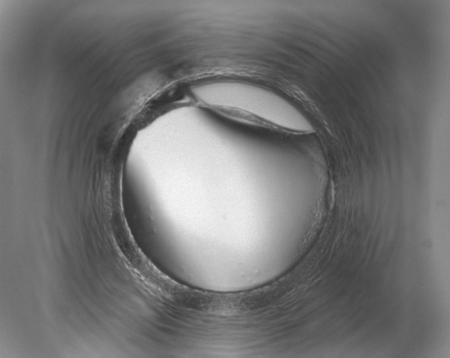 X0000078830444200612041817