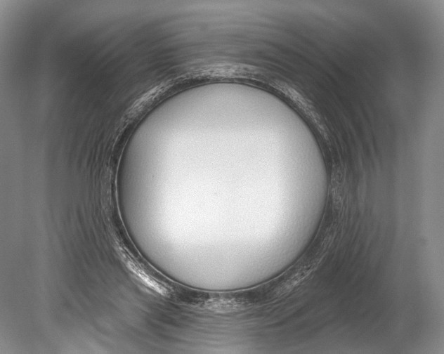 X0000078830445200612041817