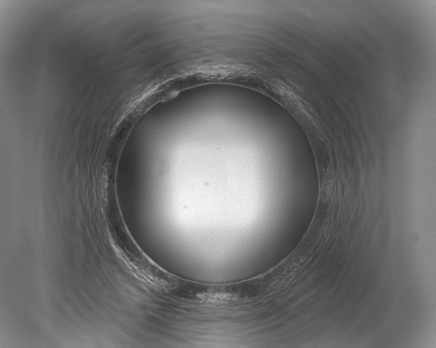 X0000078830448200612041817