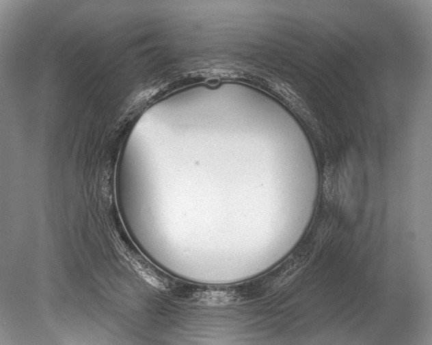 X0000078830449200612041817