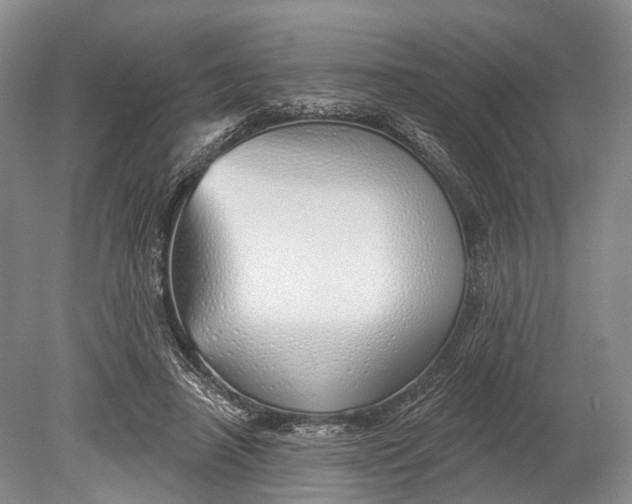 X0000078830450200612041817