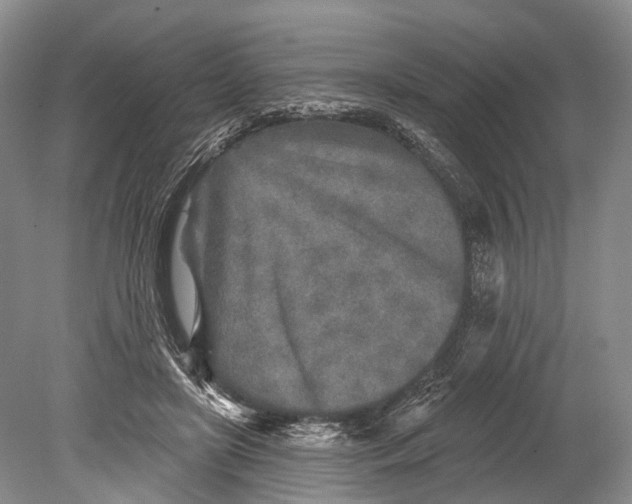 X0000078830451200612041817