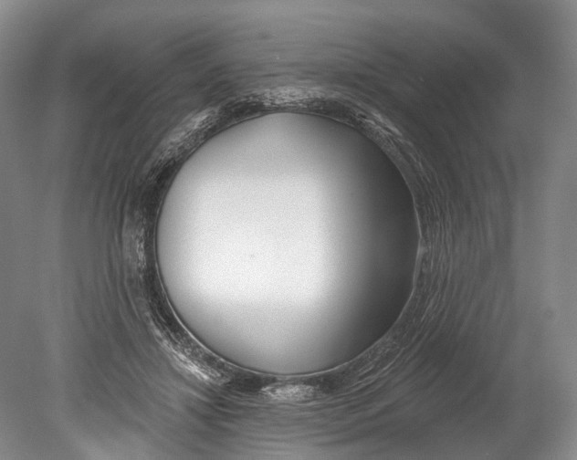 X0000078830452200612041817