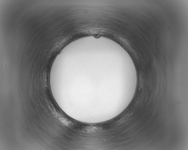 X0000078830453200612041817