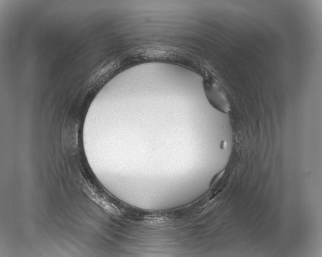 X0000078830454200612041817