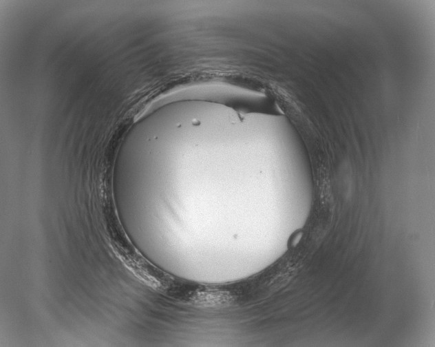 X0000078830455200612041817