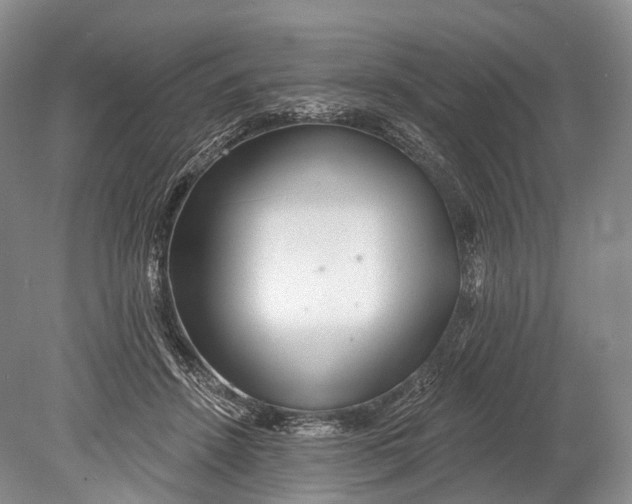 X0000078830456200612041818