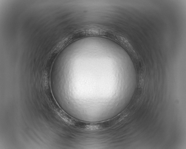 X0000078830457200612041818