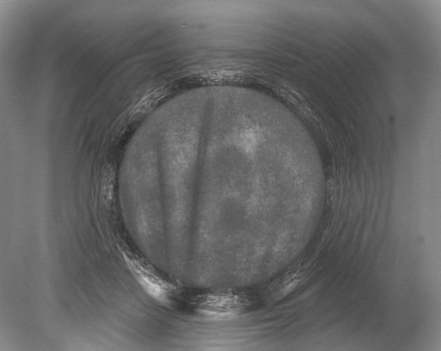 X0000078830458200612041818