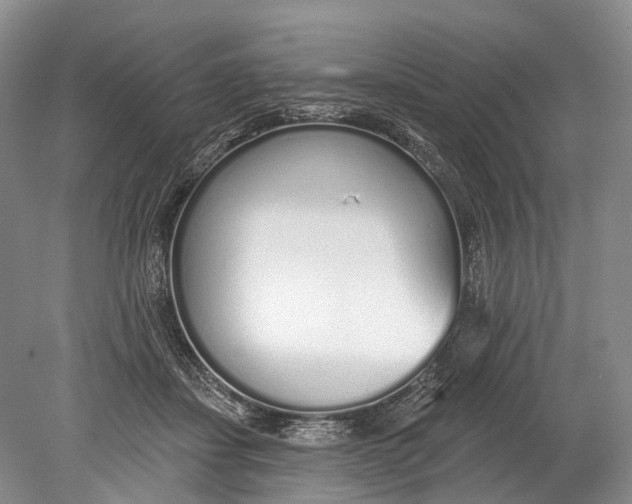 X0000078830459200612041818