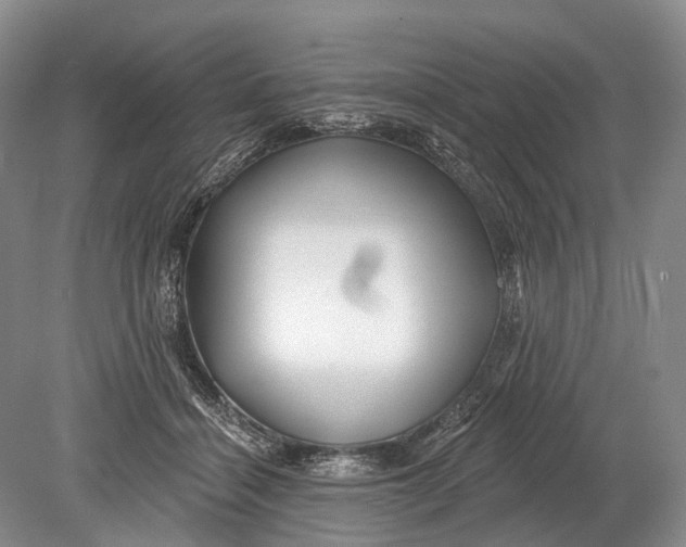 X0000078830460200612041818