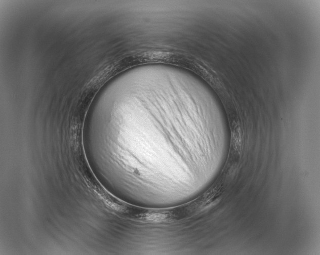 X0000078830462200612041818