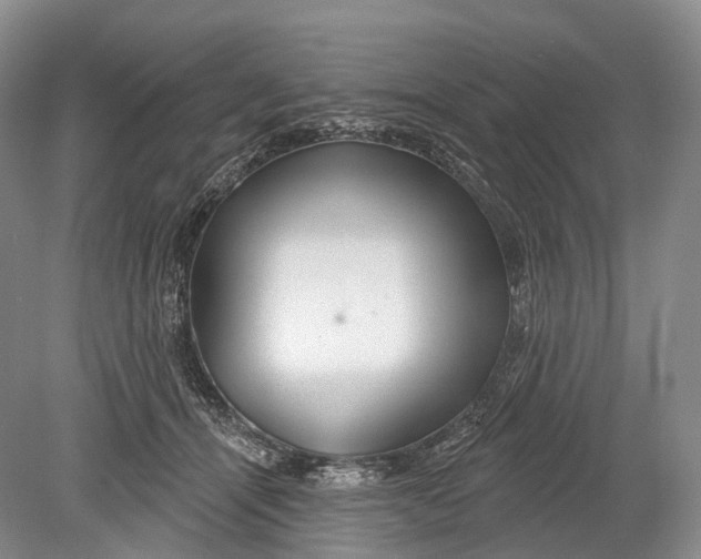 X0000078830464200612041818