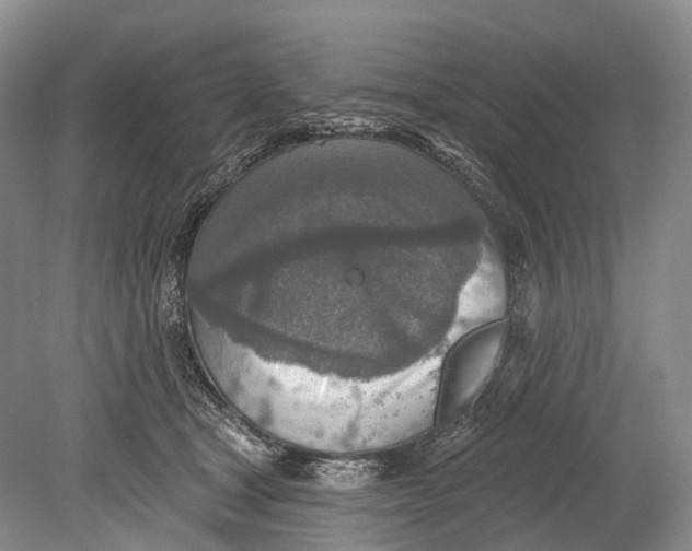 X0000078830465200612041818