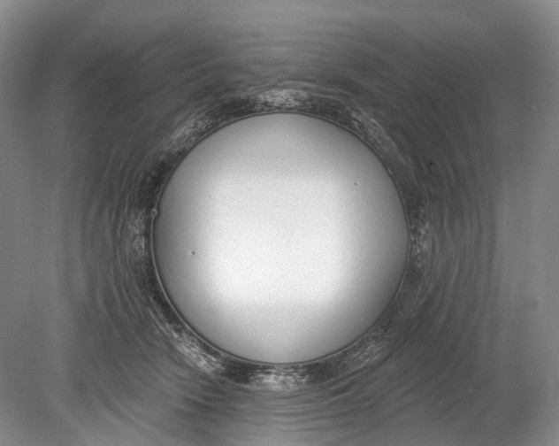 X0000078830466200612041818