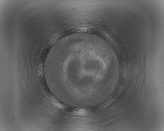 X0000078830467200612041818