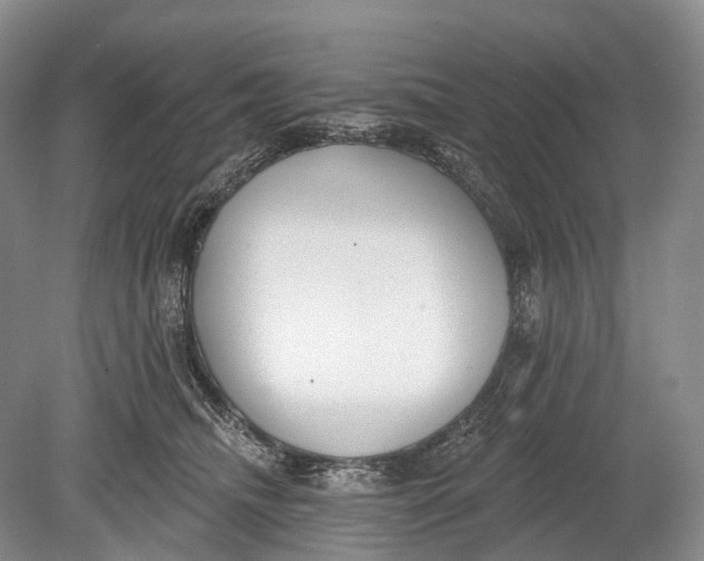 X0000078830468200612041818