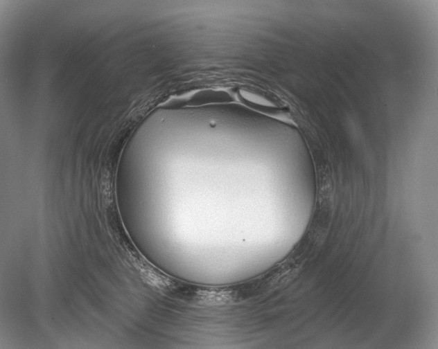 X0000078830469200612041818