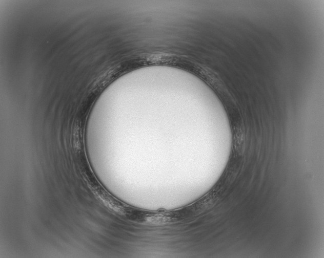 X0000078830470200612041818