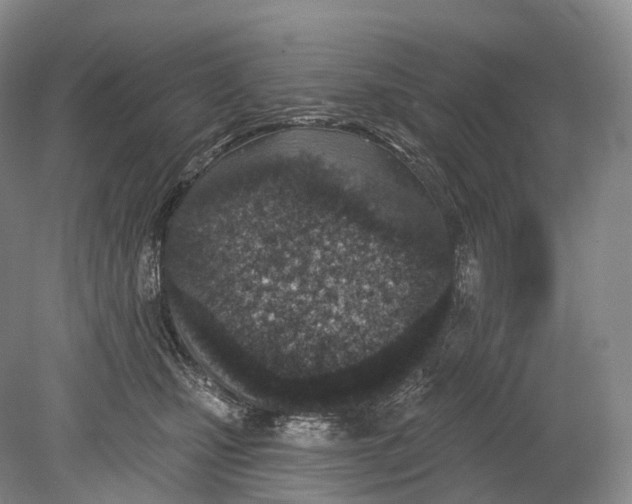 X0000078830471200612041818