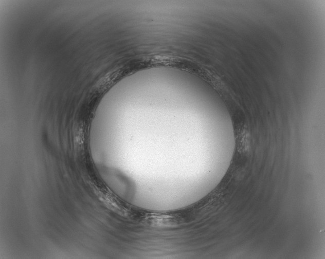 X0000078830472200612041818