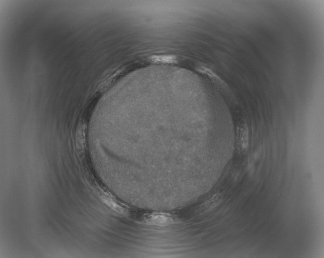 X0000078830475200612041818