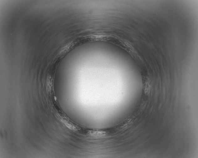 X0000078830476200612041818