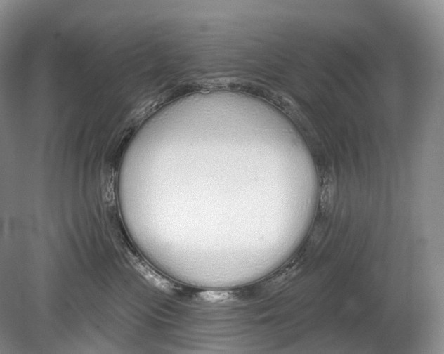 X0000078830477200612041818