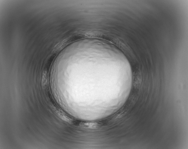 X0000078830478200612041818