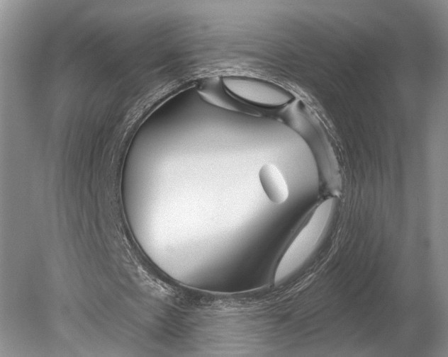 X0000078830481200612041817