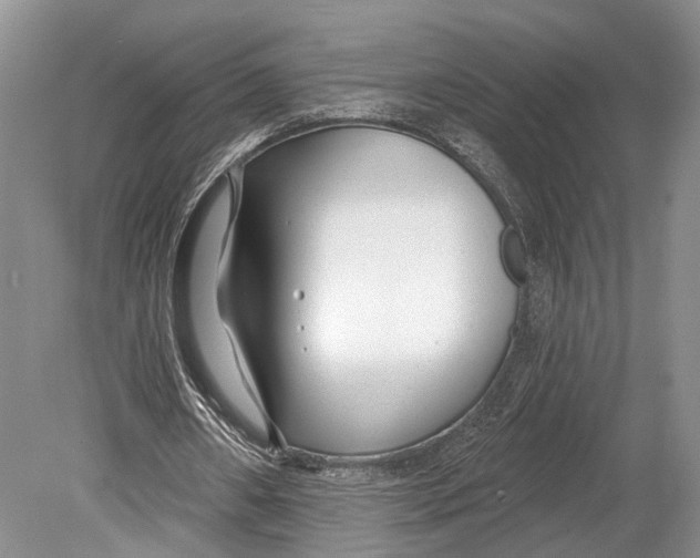 X0000078830482200612041817