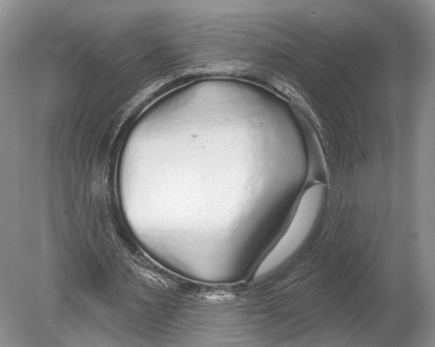 X0000078830483200612041817