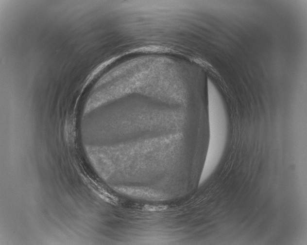 X0000078830484200612041817