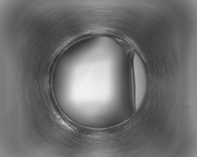 X0000078830485200612041817