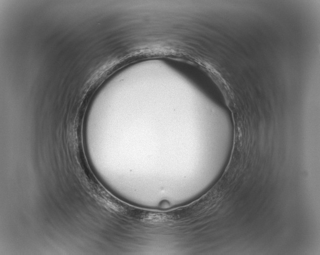 X0000078830487200612041817