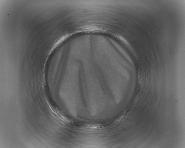 X0000078830488200612041817