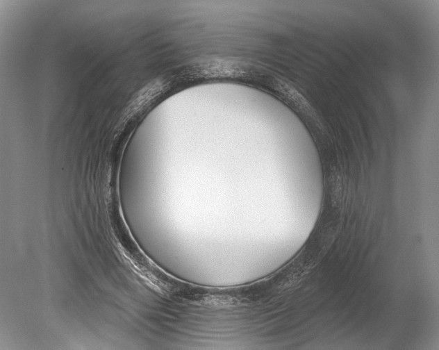 X0000078830490200612041817