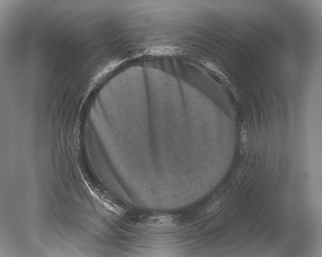 X0000078830492200612041817